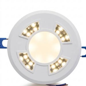 1782924266 9w20downlight20 warm20lite.jpeg
