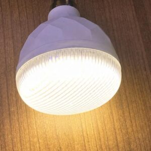 led gorgeous bulb 20w